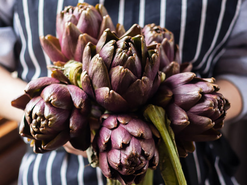 Il carciofo, specialità gourmet dalle grandi proprietà